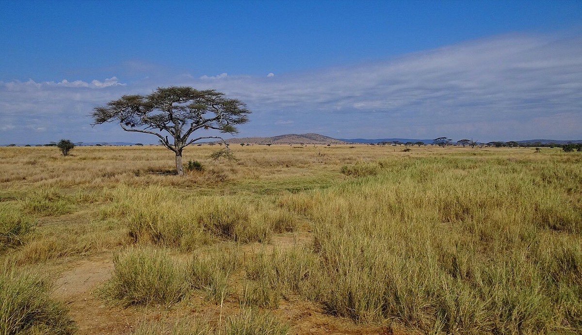 Tanzania